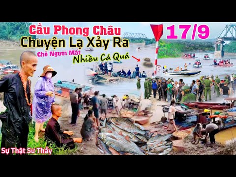 Kỳ lạ Cầu Phong Châu cá chỗ người mất trúng nhiều quá, Sự thật Sư Thầy làm điều lạ