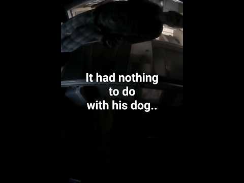 it had nothing to do with the dog...