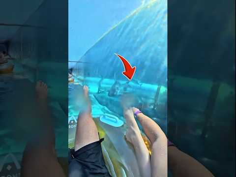 هذا الرجل تحدي الانزلاق بجانب اسماك القرش رووووعة