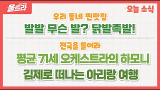 울트라 2024년 10월 14일 방송 (우리동네찐맛집 '발발 무슨 발? 닭발족발!') 다시보기