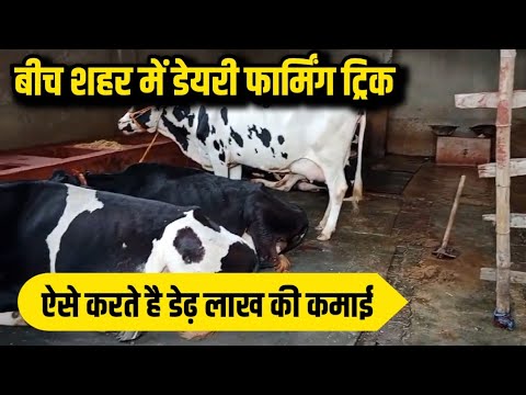 इस तरीके से शहर में रहकर कमाते है अच्छा मुनाफा/dairy farm bihar/hf cross cow/small dairy farm