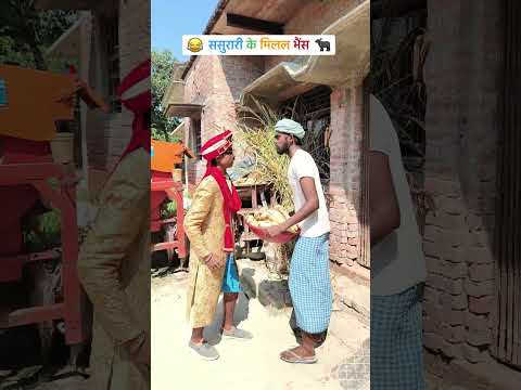 ससुरारी के मिलल भैंस 😂😂 | #video #comedy #funny #shorts #viral #bittucomedyshow | Bittu comedy show