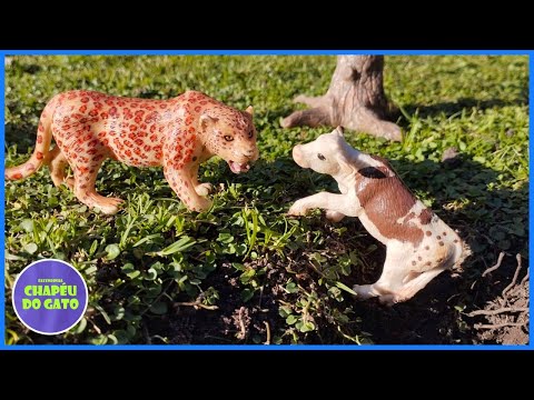 Fazenda de Brinquedo A onça e o Bezerro