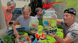 LA NIÑA BETERA 🐟👧🏼🫧 *El Mejor Criadero* 🐟😱🥇 (Parte 5)