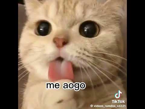 23 de octubre de 2024