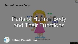 Parts of Human Body and Their Functions