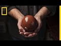 Hikaru Dango: The Art of Shiny Dumplings