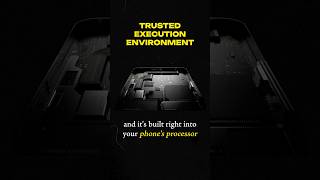 What is Trusted Execution Environment and why is it such a big deal?!