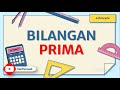 Understanding Prime Numbers and Factors