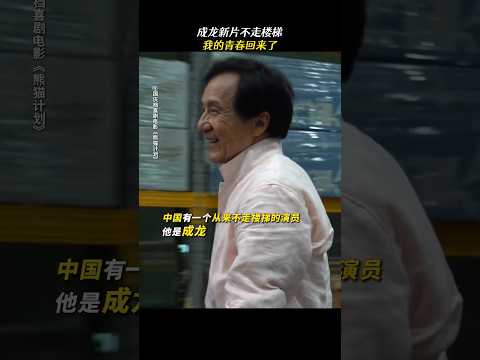 成龙  魏翔 《熊猫计划》|2024香港电影|成龙新片不走楼梯，我的青春回来了0|一场针对国宝熊猫的绑架计划悄然开启|导演 张栾|主演 韩彦博 史策 #电影 #娱乐 #新闻 #明星 #女明星