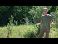 Ecological Concepts and Impacts