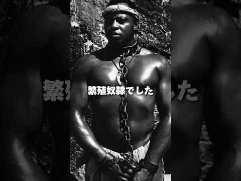 ブラジルの繁殖奴隷、パタセカ #歴史 #世界史 #パタセカ