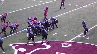 panthers crickets championship 2020