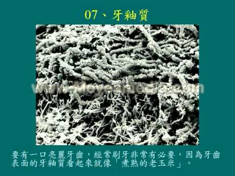 顯微鏡下的人體2 - YouTube(1分37秒)