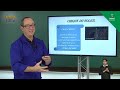 Circus Gymnastics Concepts and History