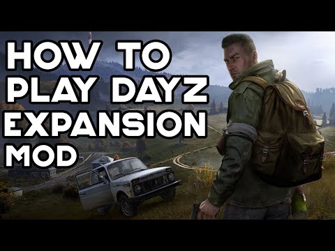 how to play dayz single player