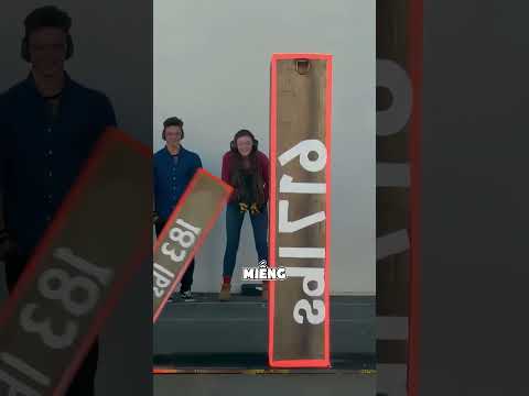 Liệu Quân Cờ Domino Có Thể Làm Sập Tòa Nhà? 😨