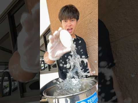 ไข่จรเข้ ? vs ไข่เป็ด เหมือนหรือแตกต่างจากไข่ทั่วไปยังไง มาดูกัน!