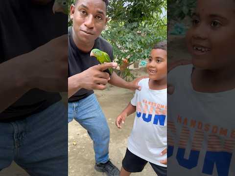 Daga ya puede volar #comedyfamily #humor