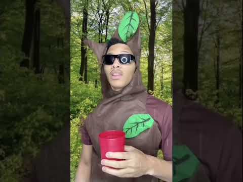 Trees POV when it start to rain