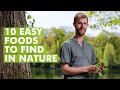 Edible Plants and Foraging Knowledge