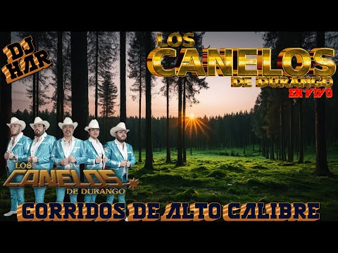 LOS CANELOS DE DURANGO CORRIDAZOS DE ALTO CALIBRE EN VIVO DJ HAR