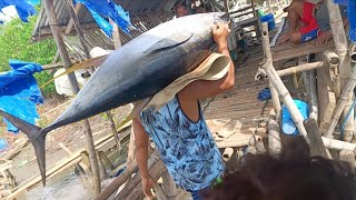 ANG HULING TUNA NI PINSAN