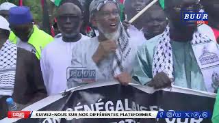 Marche Pacifique FRAPP et Cie en Soutien au Peuple Palestinien