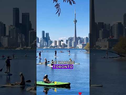 Hay más de 100 nacionalidades de inmigrantes en esta ciudad.#country #toronto #foryou #shorts