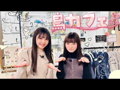 Ayumin & Arisu at a Bird Cafe🐤 