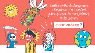 C’est vrai ça – Lutter contre le changement climatique, c’est pour sauver les ours polaires ?