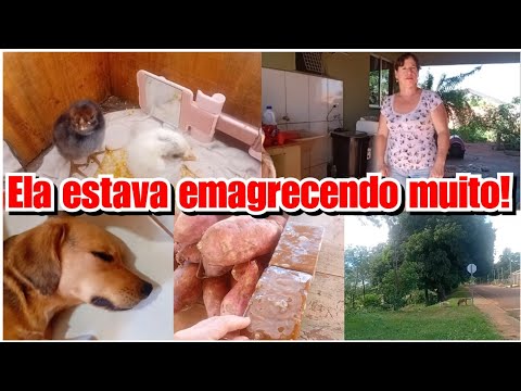 NÃO ESTAMOS CONSEGUINDO DORMIR + FIZ A FEIRA! Vlog ❤️