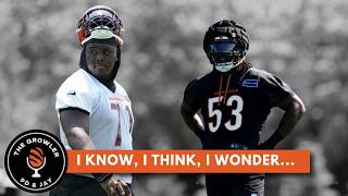 Bengals preview: I know, I think, I wonder