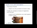 Darwin's Influences and Evolutionary Concepts