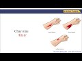 Sections Overview and Main Topics