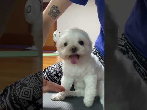 봄이의 세상은 언니였네..