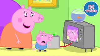 Peppa Pig | Cold Winters Day & More | Full Episodes