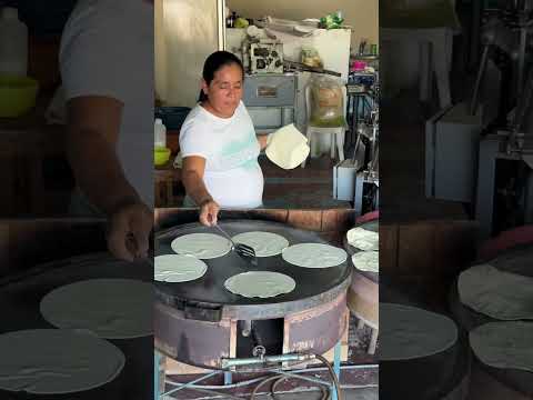 🔴el trabajo más fácil del mundo