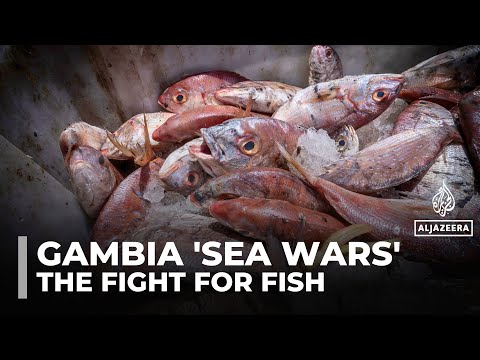 YouTube video thumbnail: Gambian Fishermen Battle Foreign Trawlers as Dwindling Fish Stocks Threaten Livelihoods