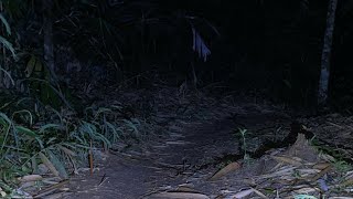 Live misteri Malam Ini‼️KEPALA BuN7uN6,APA IYA?