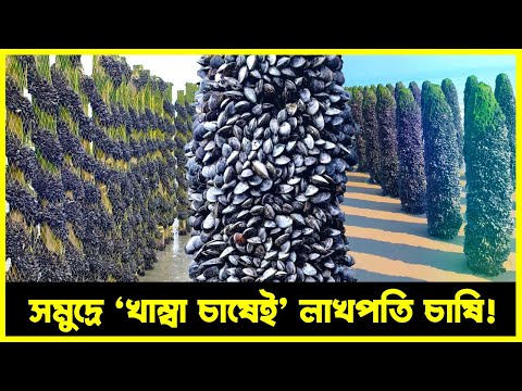 দেখতে খাম্বা, আসলে ‘টাকার গাছ’, বছরে আয় ৫০ হাজার! | Agro News