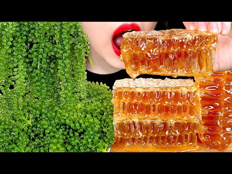ASMR RAW HONEYCOMB SEA GRAPES 벌집꿀 바다포도 먹방 MUKBANG EATING SOUNDS 咀嚼音ハニカム | ZOEY ASMR
