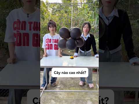Cây nào cao nhất #funny #linhvangocne #shorts