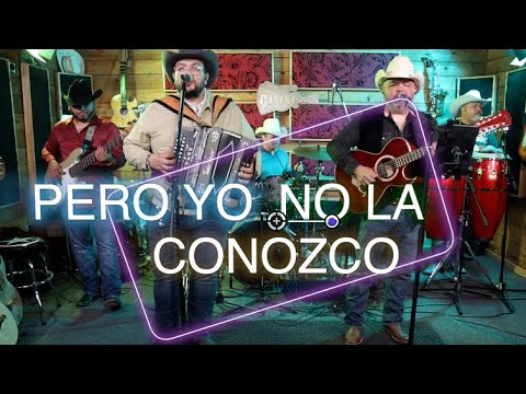 PERO YO NO LA CONOZCO   FaraBros Live