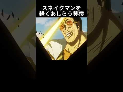スネイクマンを軽くあしらう黄猿 #ワンピース #onepiece