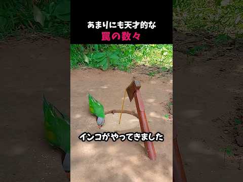 思いもよらない罠