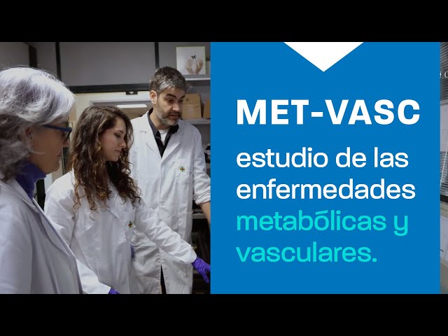 Metabolismo y función vascular
