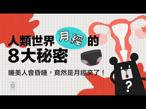 不分性別的月經知識，分享我們的月經故事❤️！｜臺灣吧TaiwanBar - YouTube