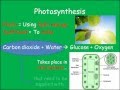 Photosynthesis Concepts and Processes