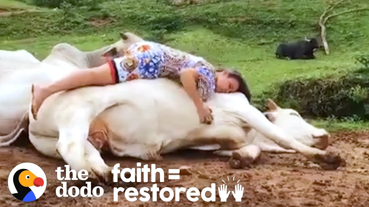 Rescued Animals Melt Into This Woman's Arms When She Sings To Them Faith = Restored